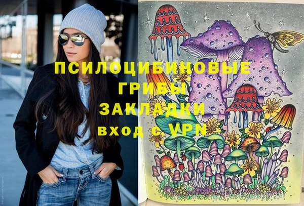 крисы Арсеньев